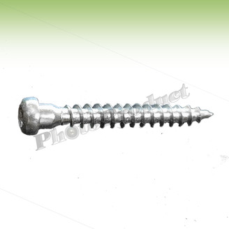 VRUT PRO TESAŘSKÉ KOVÁNÍ TALÍŘOVÁ HLAVA 4,8x45 torx zinek bílý