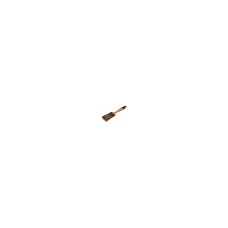 MALÍŘSKÝ ŠTĚTEC AMERICKÝ WOOD G02 25mm x 18mm